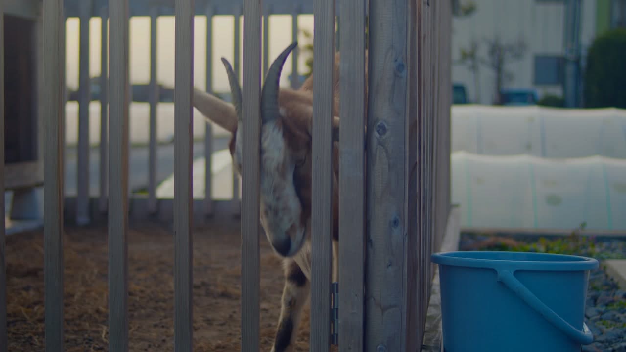 藍職人 — 夏 still 6