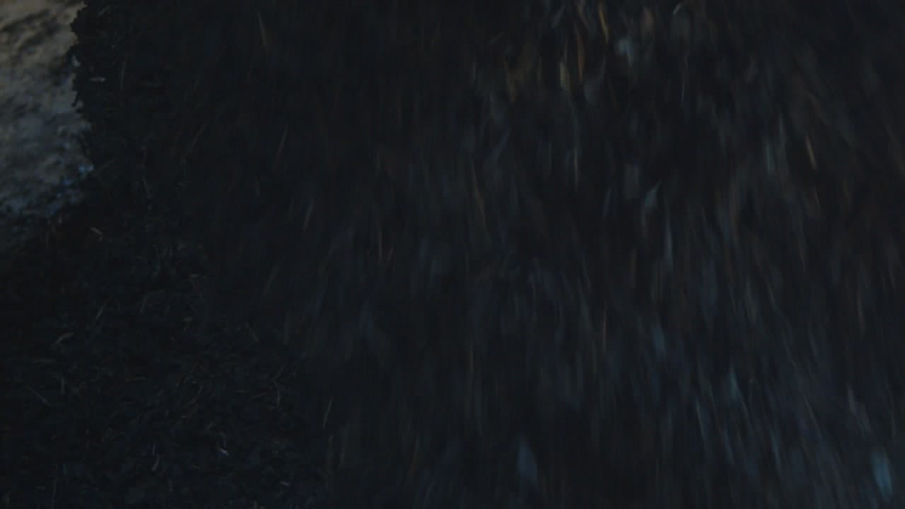 藍職人 — 冬 still 1